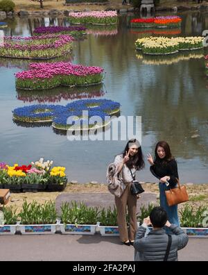 Tonami, Japan. April 2021. Am Donnerstag, den 22. April 2021, fotografieren Besucher auf der '70. Tonami Tulip Fair' im Tonami Tulip Park in Tonami, Präfektur Toyama, Japan. Drei Millionen bunte Tulpen in 600 verschiedenen Sorten blühen im Park. Foto von Keizo Mori/UPI Credit: UPI/Alamy Live News Stockfoto