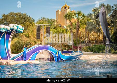 Orlando, Florida. 14. Januar 2021. Delfinspringen in Seaworld (28) Stockfoto