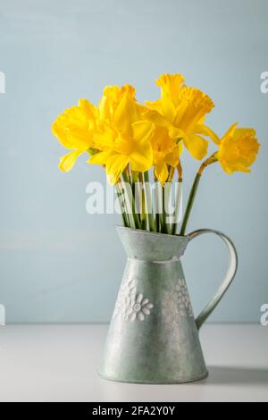 Gelbe Narzissen in Vintage Krug Vase auf Tisch mit hellblauem Hintergrund. Selektiver Fokus. Speicherplatz kopieren Stockfoto