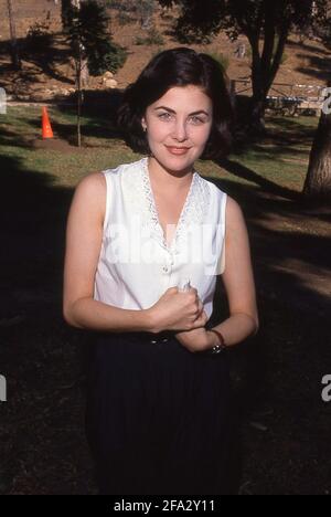 Sherilyn Fenn um die 1980er Jahre Credit: Ralph Dominguez/MediaPunch