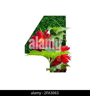 Blumenschrift Alphabet Nummer vier, aus echten Blumen. Sammlung von brillanten Flora Schriftart für Ihre einzigartige Dekoration im Frühjahr, Sommer, Hochzeit invitt Stockfoto