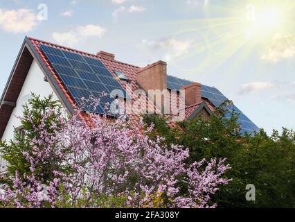 Solarmodule installiert und im Einsatz auf dem Dach des Hauses. Frühlingszeit, Blumen. Stockfoto