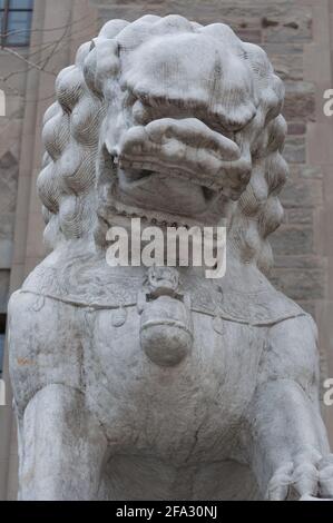 Royal Ontario Museum (Toronto) - chinesischer Schutzlöwe - Vorderseite Kopfansicht Stockfoto