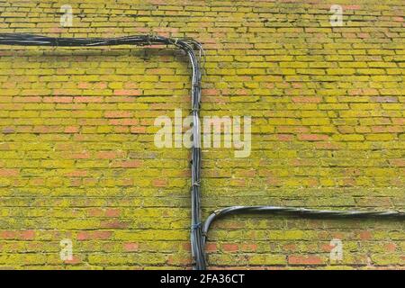 Elektrische Stromkabel auf alten schmutzigen grünen schimmeligen Backsteinwand Fassade Hintergrund Moos Textur. Stockfoto