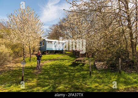 Retreat Bauwagen. In der Nähe von Natur-Wohnung unter blühenden Kirschbäumen Stockfoto