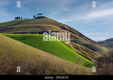 Hügel und kultivierte Felder in einer ländlichen Abruzzen Landschaft. Provinz Pescara, Abruzzen, Italien, Europa Stockfoto