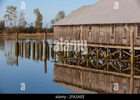 Morgenreflexion des Britannia-Schiffswerft-Gebäudes in Steveston British Columbia, Kanada Stockfoto