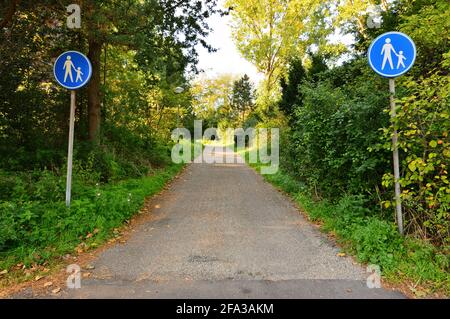 Radweg und Schilder zwischen Bäumen an einem Sommertag. Wald. Stockfoto