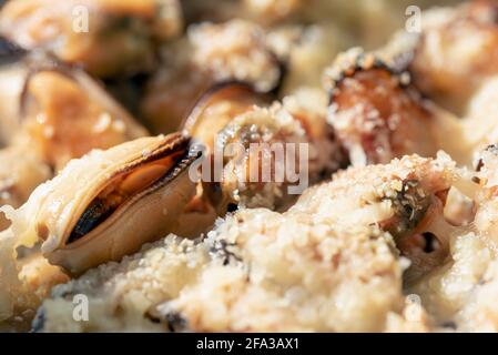 Frische Muscheln gebacken mit Sahnesauce und Parmesankäse Stockfoto