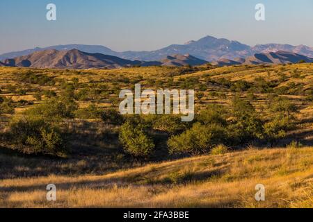 Am späten Nachmittag segnet die Empire Ranch und das Las Cienegas National Conservation Area in Arizona, USA Stockfoto