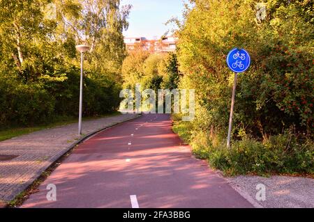 Radweg und Schilder zwischen Bäumen an einem Sommertag. Wald. Stockfoto