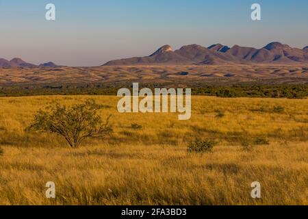 Am späten Nachmittag segnet die Empire Ranch und das Las Cienegas National Conservation Area in Arizona, USA Stockfoto