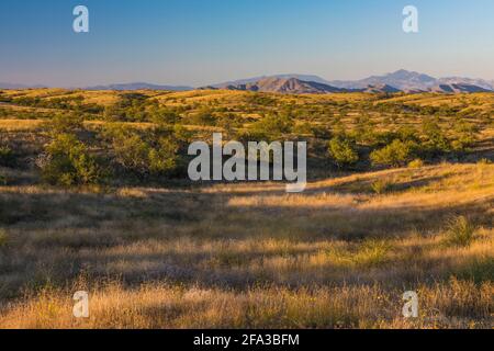 Am späten Nachmittag segnet die Empire Ranch und das Las Cienegas National Conservation Area in Arizona, USA Stockfoto