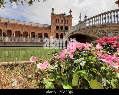 Plaza de España de Sevilla im Frühling Stockfoto