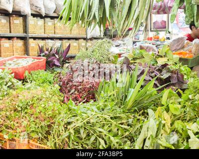 Überblick über einen typischen Stall mit Wurzeln, Grünpflanzen, anderen Kräutern und Pflanzen. In der alten Spice Alley in Taipei, Taiwan. Stockfoto