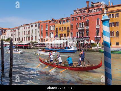 Venedig, Italien. Sieben Ruderer und ein Steuermann fahren mit einer Gondel den Canal Grande hinunter. Boote wie diese werden bei Wettkämpfen eingesetzt. Der Stil des Ruderns - Stockfoto