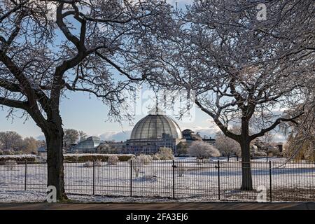 Detroit, Michigan - das Anna Scripps Whitcomb Conservatory auf Belle Isle, einem Inselpark im Detroit River, nach einem Frühlingsschnee. Stockfoto