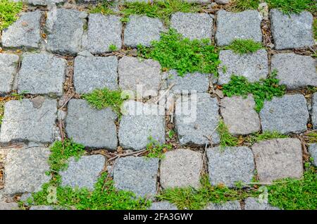 Steinpflaster auf öffentlichem Pflasterweg. Kleine quadratische Fliesen. Urban pflastern mit Gras. Stockfoto