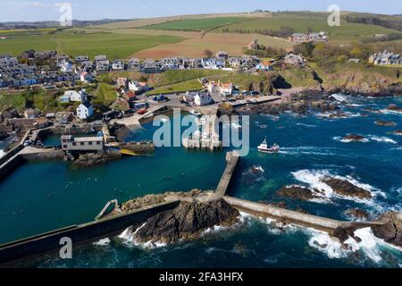 Luftaufnahme zeigt ein Fischerboot, das zum Hafen von St. Abbs an der Küste von Berwickshire, Schottland, Großbritannien, zurückkehrt. Stockfoto