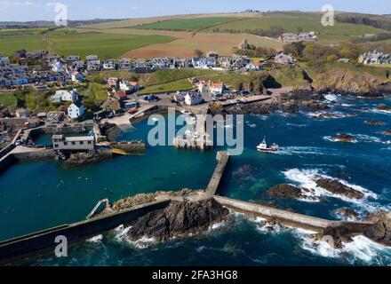 Luftaufnahme zeigt ein Fischerboot, das zum Hafen von St. Abbs an der Küste von Berwickshire, Schottland, Großbritannien, zurückkehrt. Stockfoto