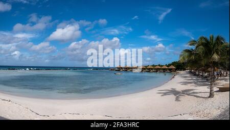 Aruba März 2021 Strand mit rosa Flamingos am Strand, Flamingo am Strand auf der Karibischen Insel Aruba. Ein farbenfroher Flamingo am Strand, Renaissance Island Aruba Stockfoto