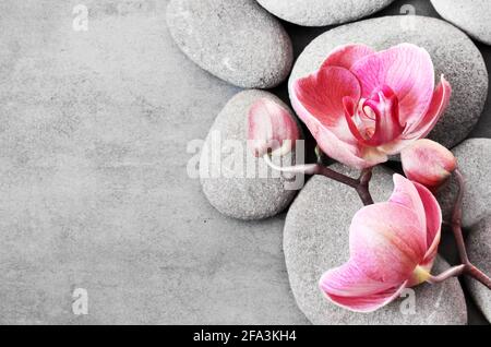 Spa-Steine und rosa Orchidee auf dem grauen Hintergrund. Stockfoto