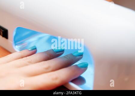 Nahaufnahme der Hände einer Frau mit einer blauen Gelpolitur-Maniküre. Die Frau steckt ihre Hand in die uv-LED-Lampe, um den Decklack des Nagellacks zu heilen. Stockfoto