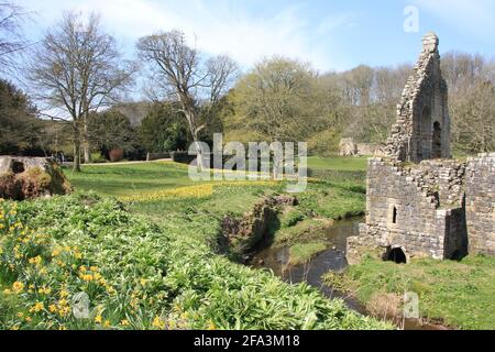 Fontänen Abtei im Frühjahr 2021 Stockfoto