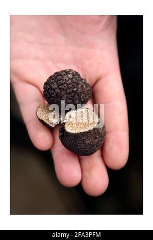 Trüffel..... dr. Paul Thomas, ein Trüffelunternehmer hols two Summer Trufflephotograph von David Sandison The Independent Stockfoto