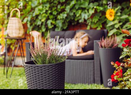Selektiver Fokus auf die getopfte Heidekraut-Blume. Auf verschwommenem Hintergrund ist 7-jährige Mädchen Kind legen sich auf Gartenmöbel Sofa und suchen smartpho Stockfoto