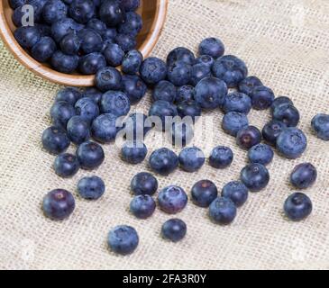 Heidelbeeren in einer Holzschüssel auf einem rustikalen Tisch verstreut Stockfoto