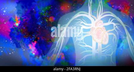 Herzerkrankungen und Kardiologie Konzept als menschliches Kreislaufsystem mit Blutgefäßen. Stockfoto