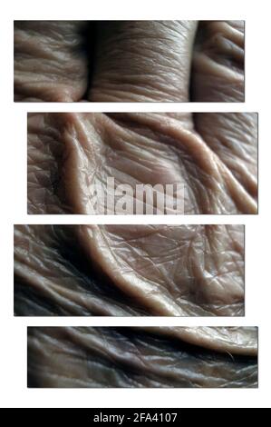 Old mans faltige Hand Stockfoto