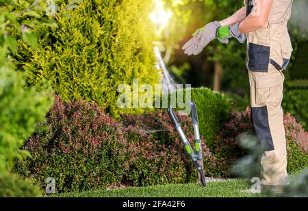 Kaukasischer professioneller Gärtner in den 40er Jahren, der sich für den Gartenjob vorbereitete. Tragen Von Schutzhandschuhen. Landschaftsbau. Stockfoto