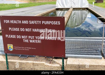 ERWIN, TN, USA-11. APRIL 2021: Die Erwin National Fish Hatchery, außerhalb der Gemeinde Erwin, im Unicoi County. Frühlingstag. Warnschild vor dem Seil Stockfoto