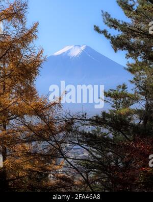 Blick auf den Berg Fuji durch eine Pause im Baldachin eines herbstlichen Waldes unter blauem Himmel, wobei ein Teil der Stadt Fujiyoshida durch die Leine sichtbar ist Stockfoto