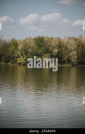 Vertikale Aufnahme eines von Bäumen umgebenen Seeufers Stockfoto