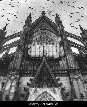 Graustufenaufnahme des Kölner Doms in Köln, Deutschland Stockfoto