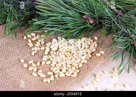 Frisch geschälte Pinienkerne mit grünen Nadelästen auf hellem textilen Hintergrund. Stockfoto