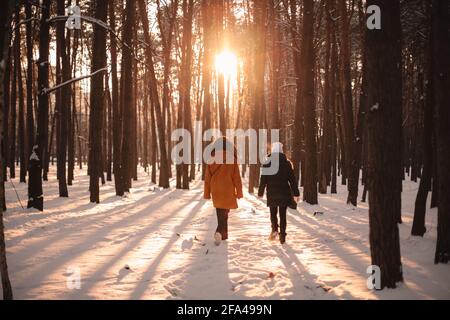 Rückansicht von Freundinnen, die im schneebedeckten Park spazieren Im Winter Stockfoto