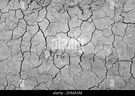 Im Sommer trockener Sandboden Stockfoto