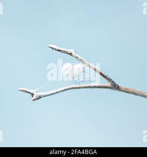 Ein weißes Herz im Spinnennetz auf einem mit Schnee bedeckten Ast. Stockfoto