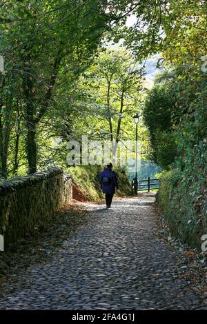 Eine Frau im purpurnen Mantel, die auf Kopfsteinpflaster in Clovelly, Devon, England, läuft. Stockfoto