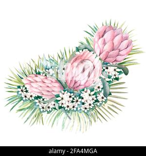 Bouquet mit protea-Blüten, tropischen Blättern, Palmblättern, bouvardia-Blüten. Hochzeitsstrauß für die Gestaltung einer stilvollen Einladung. Aquarell Stockfoto