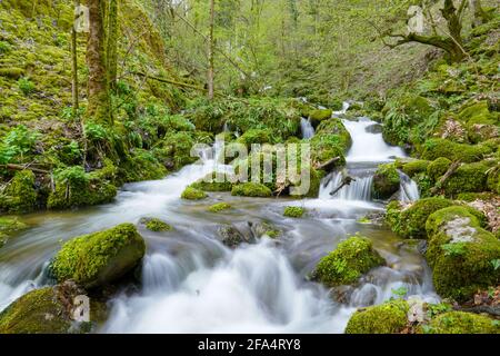 Grün-Wasserfall-Fluss-Felsen-bedeckt-mit-grünem-Moos-Wald-Wasserfall. Tiefer Wald in der Mitte des Waldes mit einem Wasserfall. Ruhige und angenehme Umgebung Stockfoto