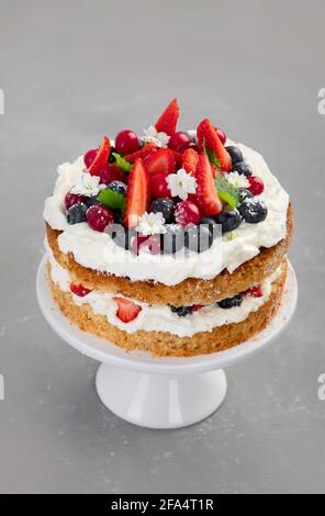 Köstliche hausgemachte Torte mit frischen Beeren und Mascarpone-Creme auf grauem Hintergrund. Stockfoto