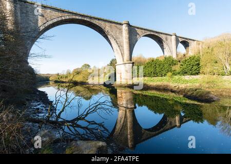 Das Victoria Viadukt spiegelte sich in der Flussnutzung in Washington, Nordostengland, Großbritannien, wider Stockfoto