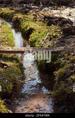 Ein schmutziges Brett wird über einen sich schnell bewegenden Strom geworfen, das Wasser im Strom wird von den Sonnenstrahlen beleuchtet. Stockfoto