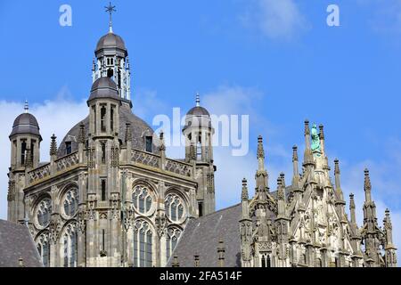 Die Außenfassade der gotischen Kirche St. Janskathedraal (St. John's Cathedral) in Hertogenbosch, Niederlande, mit Statuen und Ornamenten Stockfoto