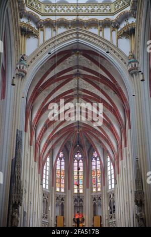 HERTOGENBUSCH, NIEDERLANDE - 4. APRIL 2021: Gotischer Innenraum des St. Janskathedraals (St. John's Cathedral) mit verzierten Gewölbedecken Stockfoto